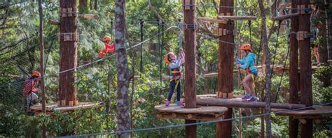 treetops gosford|Treetops Adventure